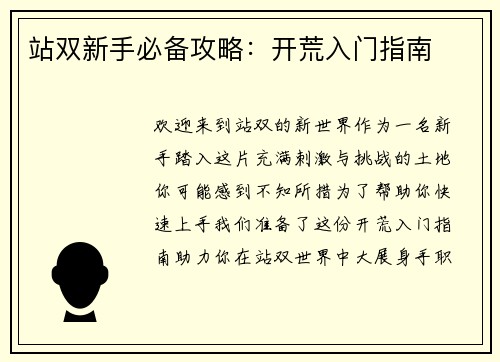 站双新手必备攻略：开荒入门指南